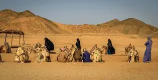  🏜️ Visit a Bedouin Village