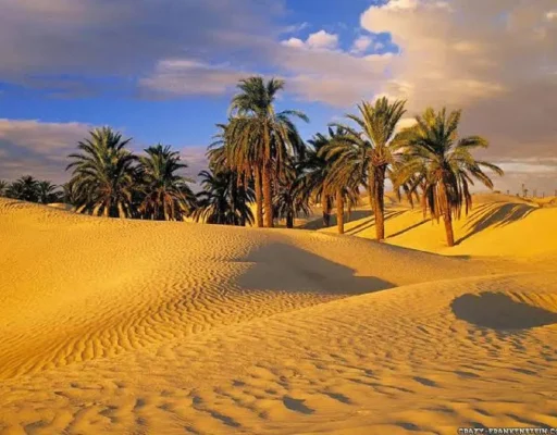 2000x2000-0-70-e1dbfee8da5d633f20977a9814e5c5d9