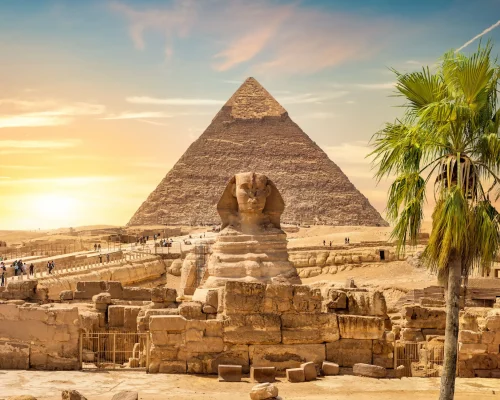 giza-pyramids-cairo-egypt-with-palm (1)